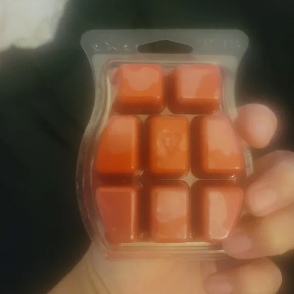 Scentsy wax melts disney - Picture 2 of 2